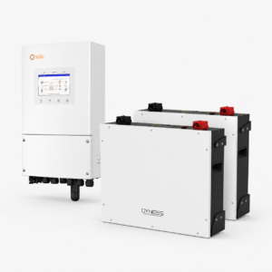 2× Dyness DL5.0C 10,24 kWh + Solis 5 kW 1-fase pakket